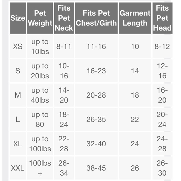 Sun Squad Hello Summer Pineapple Dog Tank Top - Picture 7 of 8